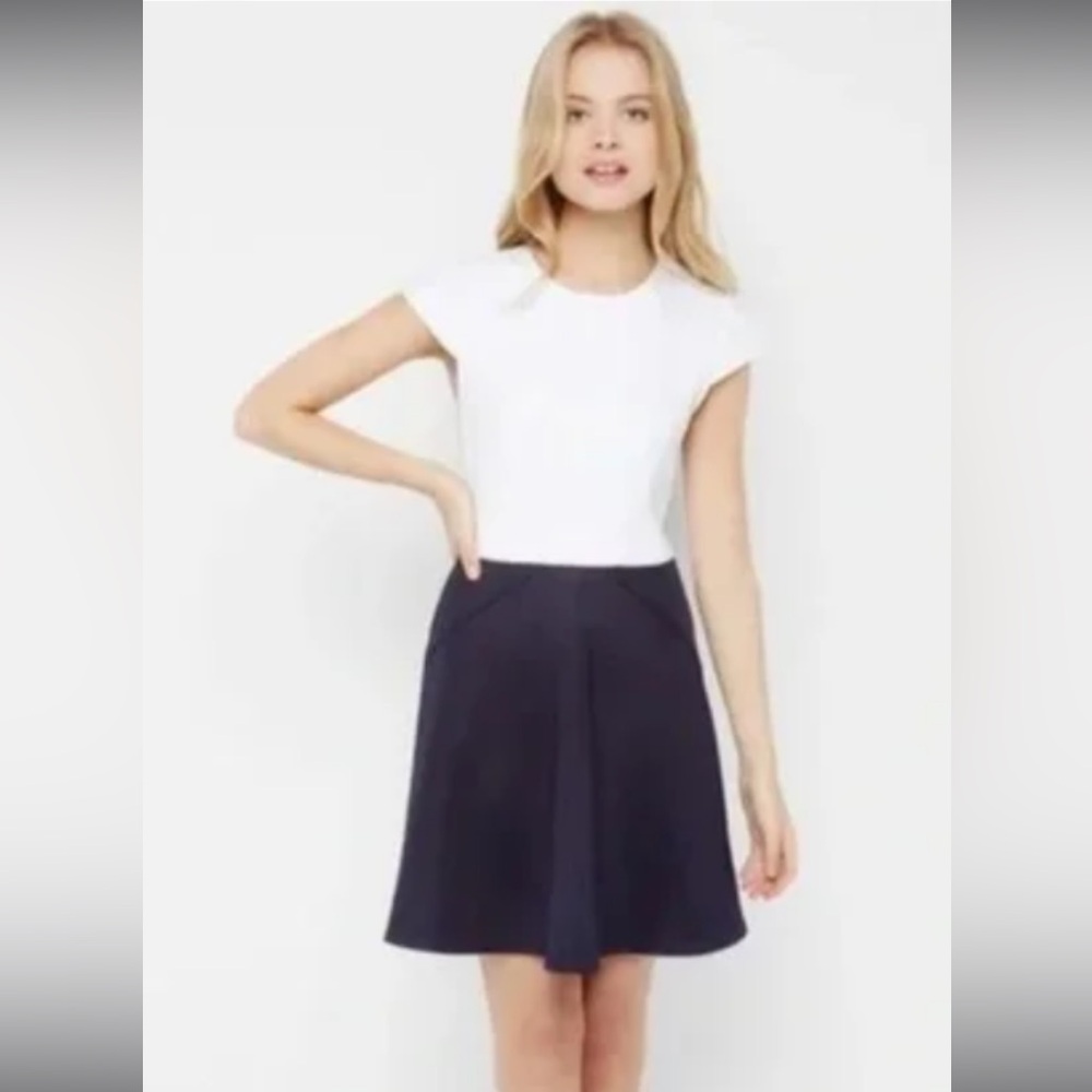 Ted Baker Colorblock Dress